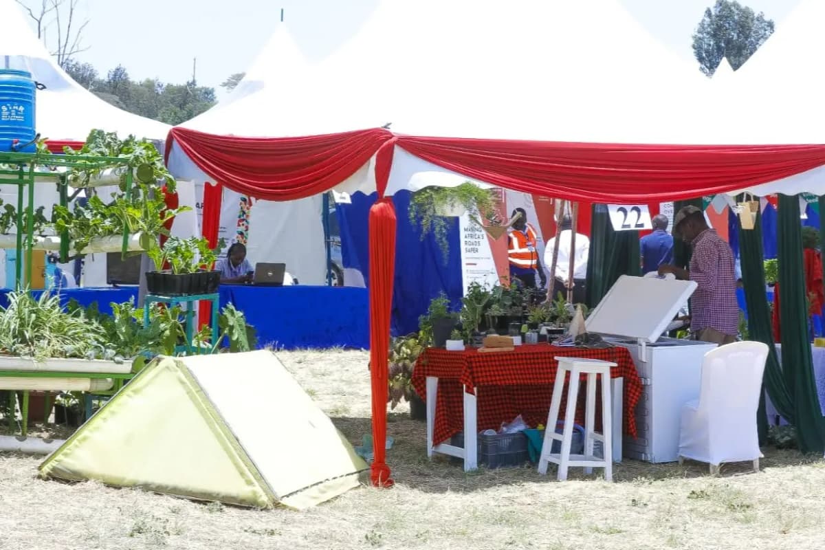 Ecosystem Building & Convenings